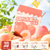 神兽果果 水果条 宝宝健康果肉脯条婴儿童幼儿 60g 1岁+（新旧包装随机发） 商品缩略图0