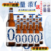 【啤酒】青岛无醇白啤500ml*12 商品缩略图0