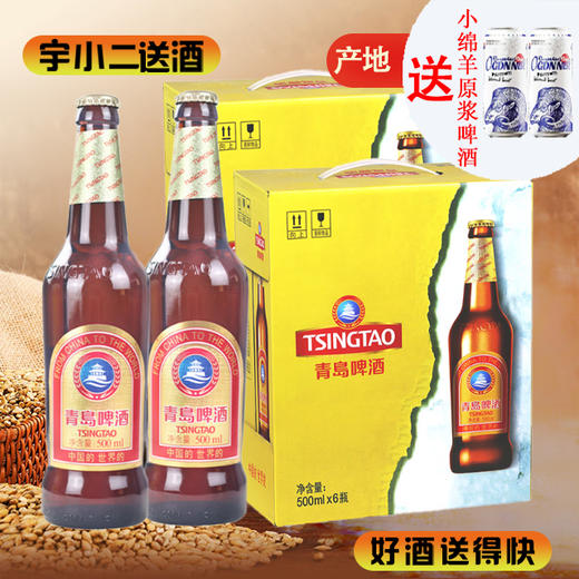【啤酒】青岛啤酒大棕金瓶装酒精度 4.3%vol原麦汁 11°P500ml*6 商品图0
