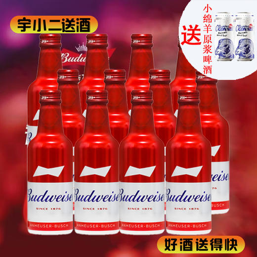【啤酒】百威啤酒（铝罐）原麦汁浓度9.7°P酒精度3.6%vol 330ml*12 商品图0