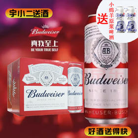 【啤酒】百威听装500ml*12