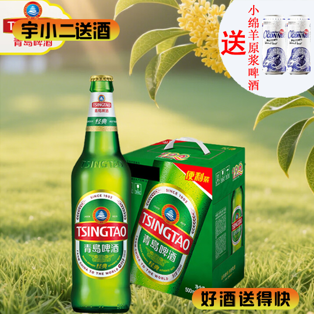 【啤酒】青岛瓶装8°P500ml*6