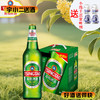 【啤酒】青岛瓶装8°P500ml*6 商品缩略图0