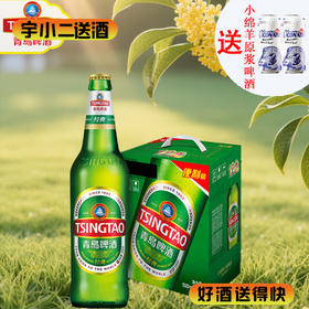 【啤酒】青岛瓶装8°P500ml*6