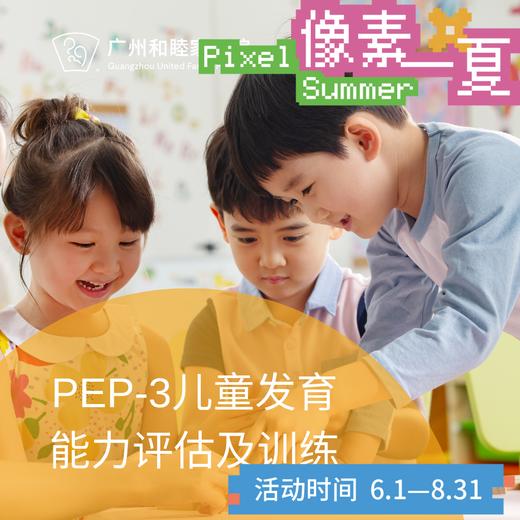PEP-3儿童发育能力评估及训练套餐_精神心理科_像素一夏 商品图0