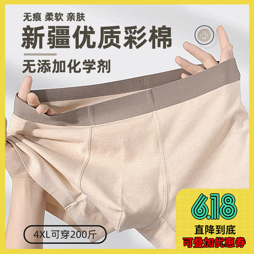 50s 天然新疆彩棉 · 无印染原色内裤（3条） 商品图0
