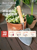 【云优选】Berry&Bird小蛮腰心形宿根手铲 商品缩略图0