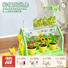 【云优选】学优马阳光房种植 360度全景阳光房 零距离观察植物 儿童种菜科学实验盆栽玩具 沉浸式种植体验 四季可种（拆封后不支持7天无理由退货，介意慎拍） 商品缩略图0