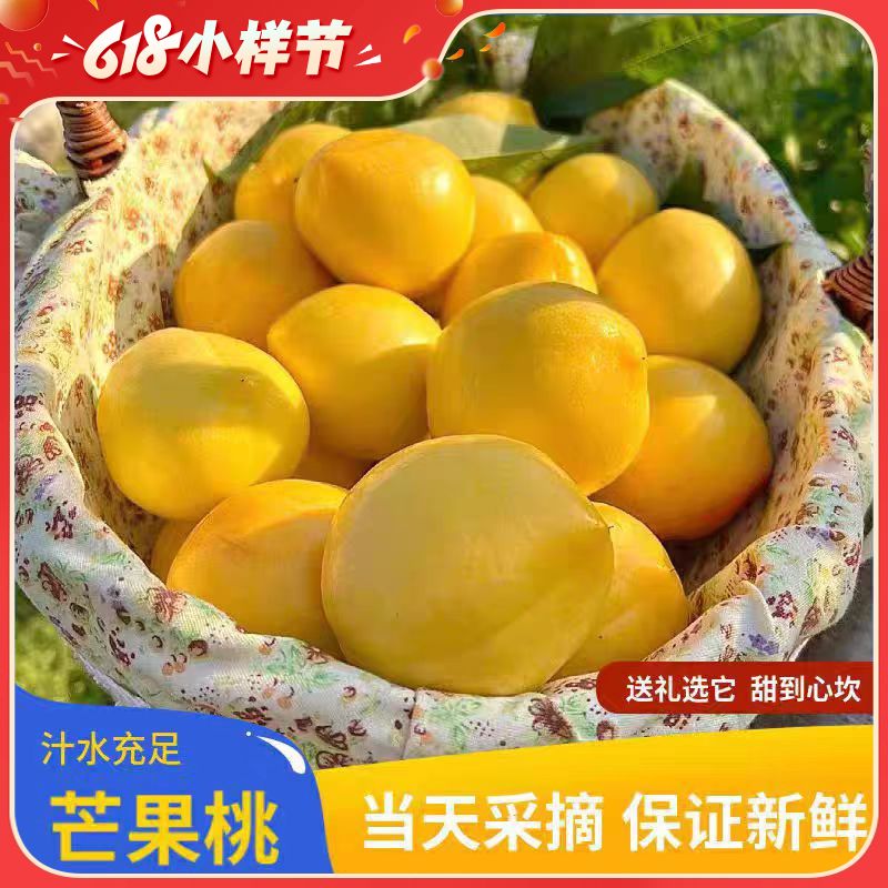 严选 | 黄金芒果油桃 净重2.5斤大果（单果125-175g,3-5个/斤）鲜嫩脆爽 果香四溢 新鲜现摘