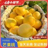 严选 | 黄金芒果油桃 净重2.5斤大果（单果125-175g,3-5个/斤）鲜嫩脆爽 果香四溢 新鲜现摘 商品缩略图0