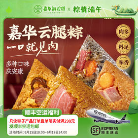 【嘉华粽子】云腿粽系列 多口味任选