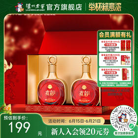 【酒厂直营】52度 泸州老窖定制酒欢彩（电商版）/惟尊 500ml*2  泸州老窖官方旗舰店