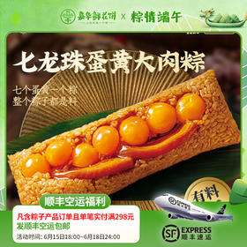 嘉华  端午 七龙珠蛋黄大肉粽子礼盒 450g
