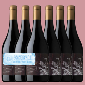 【整箱】年度醉佳马尔贝克！智利一级庄！金丝马尔贝克干红 La Ronciere Malbec 2019