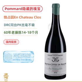 乔安娜吉尔马酒庄伯恩丘城堡干红 Joannes Violot Guillemard Hautes-Cotes de Beaune En Chateau Clos 2022