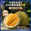 黑刺当季鲜果！【科技筛果 颗颗报恩】【自然树熟 马来空运国内】市舶士 黑刺鲜果榴莲（保5房） 商品缩略图0
