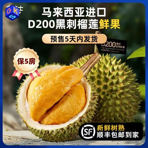 黑刺当季鲜果！【科技筛果 颗颗报恩】【自然树熟 马来空运国内】市舶士 黑刺鲜果榴莲（保5房） 商品图0