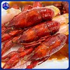 邂逅青春即食小龙虾 （麻辣\蒜泥\花雕） 750g/盒X2盒 (固形物含量≥60%)  商品缩略图0