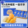【4大名种 一盒尽享】市舶士 树熟榴莲果肉组合（猫山王/黑刺/苏丹王/红肉）500g*1盒 商品缩略图0