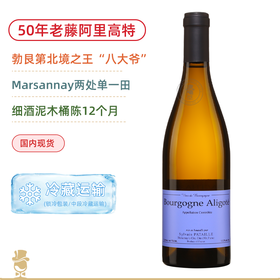 50年老藤！勃艮第“北境酒王”八大爷！希尔文巴泰酒庄勃艮第阿里高特白葡萄酒 Domaine Sylvain Pataille Bourgogne Aligote 2023
