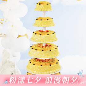 鹏程万里蛋糕（武汉）-30磅1599元