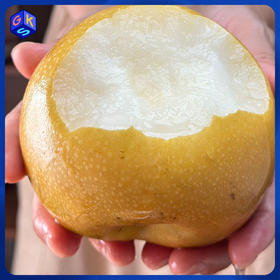 【京东快递】山东秋月梨 甜润酥脆 甜脆多汁 皮薄核小