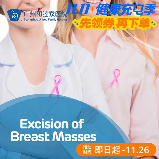 Excision of Breast Masses 商品图0