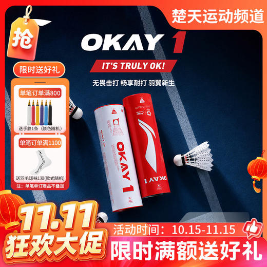 【双11活动进行中】李宁合成羽毛球OKAY1室内飞行稳定耐打训练尼龙球6只装 商品图0